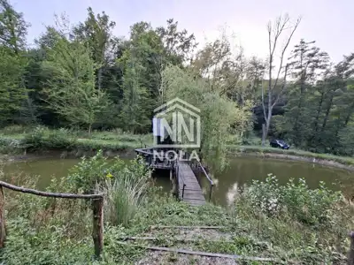 Ivanec, Kaniža - two holiday homes by a private lake - 20