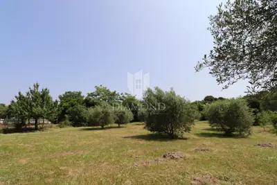 Imanje 6.780 m², Rovinj - centar grada i maslinik - 11