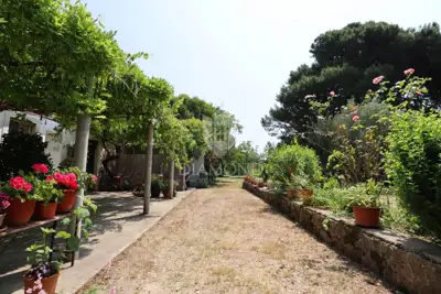 Estate 6,780 m², Rovinj - city center and olive grove