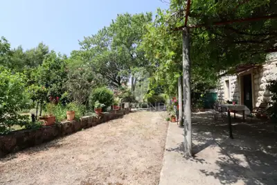 Imanje 6.780 m², Rovinj - centar grada i maslinik - 9