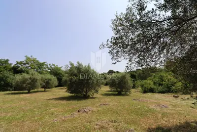 Imanje 6.780 m², Rovinj - centar grada i maslinik - 12