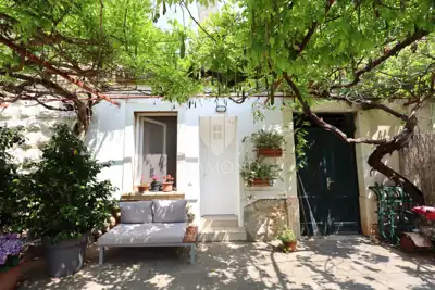 Imanje 6.780 m², Rovinj - centar grada i maslinik - 5