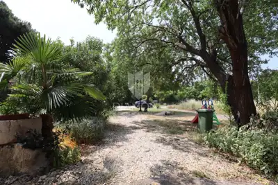 Imanje 6.780 m², Rovinj - centar grada i maslinik - 10