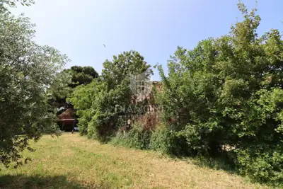 Imanje 6.780 m², Rovinj - centar grada i maslinik - 13