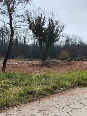 Zemljište 2 765 m², Baderna kod Poreča, mirna lokacija - 3