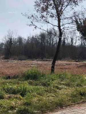 Zemljište 2 765 m², Baderna kod Poreča, mirna lokacija - 2