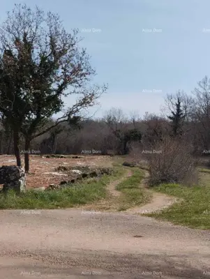Zemljište 2 765 m², Baderna kod Poreča, mirna lokacija - 4