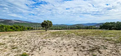 Landwirtschaftsfläche 12 938 m², Gustirna, Marina - Meerblick - 13