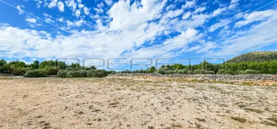 Landwirtschaftsfläche 12 938 m², Gustirna, Marina - Meerblick - 8