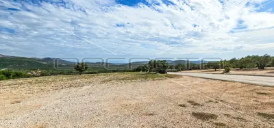 Landwirtschaftsfläche 12 938 m², Gustirna, Marina - Meerblick - 12