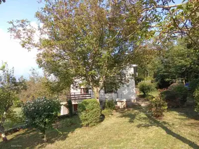 Baugrundstück 2 493 m², Heki, direkter Zugang zur Straße - 3
