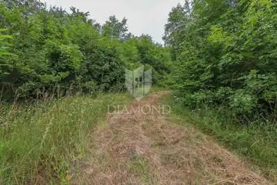 House for sale in Žminj, 129 m² - 8