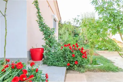 House 60 m², Šišan - quiet location near beaches - 18