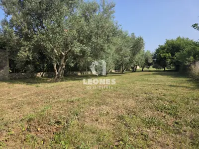 Građevinsko zemljište 592 m², Umag - projekt prizemne kuće