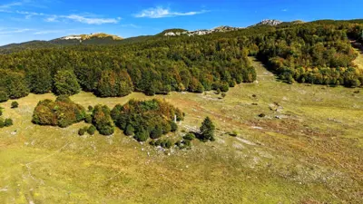 Land 6,349 m², Platak - next to Veliki dom - 5