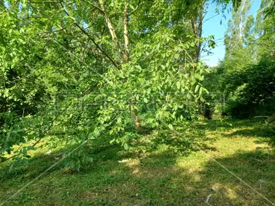 Baugrundstück 2 910 m², Stenjevec - ruhige Lage - 8