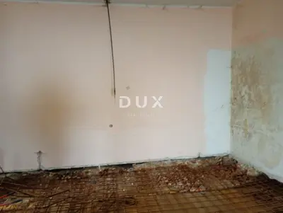 Starina 442 m², Praputnjak - za adaptaciju - 10