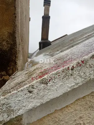 Starina 442 m², Praputnjak - za adaptaciju - 13