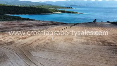 Agricultural land 30,920 m², Pelješac, olive grove and warehouses - 4