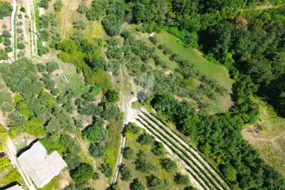 Kamena starina 70 m², Cerovlje - za adaptaciju - 4
