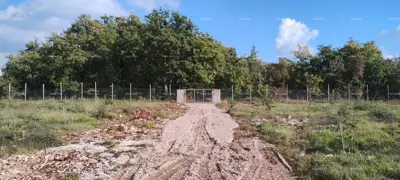Građevinsko zemljište 10.353 m², Svetvinčenat - projekt vile i kuća 69 m² - 2