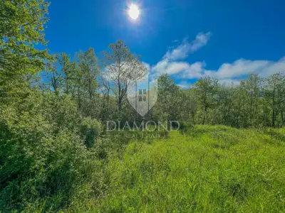 Building land 6,721 m², Oprtalj - landscape view - 3