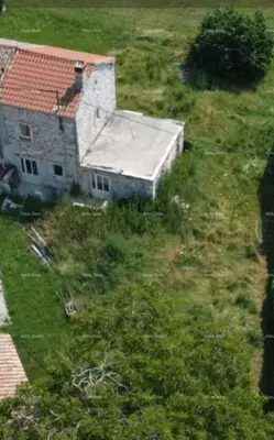 Stone house, Barban, 500 m² garden and conceptual project - 5