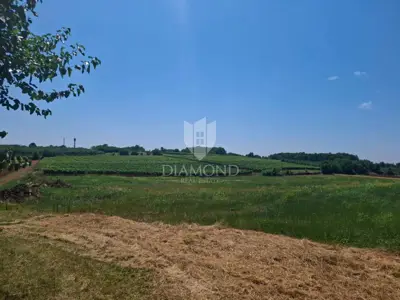 Poreč surroundings, interesting building plot on the edge of the settlement - 2