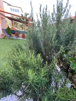 Wohnung 48 m², Peroj - Erdgeschoss, Garten und Parkplatz - 3