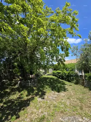 Rakalj, kamena kuća s 1.920 m² građevinskog zemljišta - 18