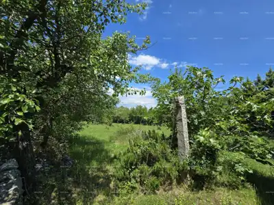 Rakalj, kamena kuća s 1.920 m² građevinskog zemljišta - 14
