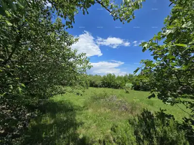 Rakalj, kamena kuća s 1.920 m² građevinskog zemljišta - 15