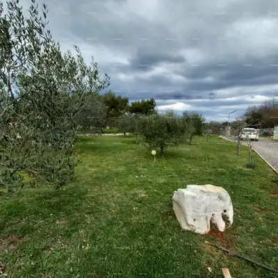 Samostojeća kuća s pomoćnim objektom i prostranom okućnicom u zapadnoj istri - 6