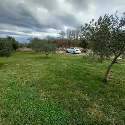 Samostojeća kuća s pomoćnim objektom i prostranom okućnicom u zapadnoj istri - 5