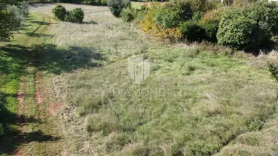 Baugrundstück 1.536 m², Marčana - ruhige Lage - 2