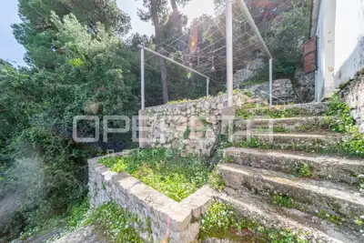 Otok Mljet – Kuća uz more i zemljište za uzgoj mediteranskih kultura - 20
