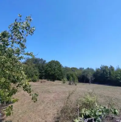 RAKALJ, KAMENA KUĆA S 1849 m² GRAĐEVINSKOG ZEMLJIŠTA, PRILIKA! ! ! - 4