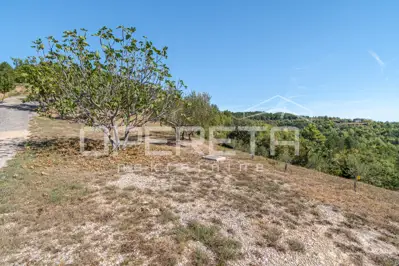Poljoprivredno zemljište 3.690 m², Buzet - pogled na Butonigu - 14