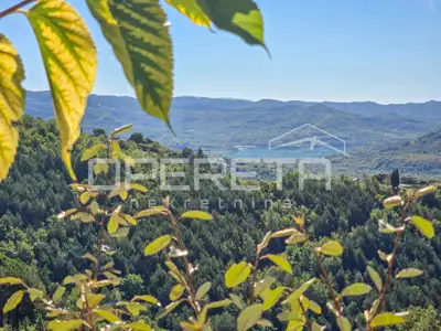 Poljoprivredno zemljište 3.690 m², Buzet - pogled na Butonigu - 3