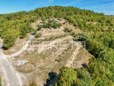 Poljoprivredno zemljište 3.690 m², Buzet - pogled na Butonigu - 13