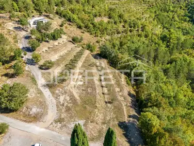 Poljoprivredno zemljište 3.690 m², Buzet - pogled na Butonigu - 16