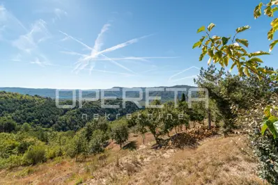 Poljoprivredno zemljište 3.690 m², Buzet - pogled na Butonigu - 7