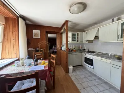 Stone house 150 m², Drivenik - quiet location