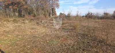 Građevinsko zemljište 1.351 m², Labin - uz cestu i mirno selo - 5