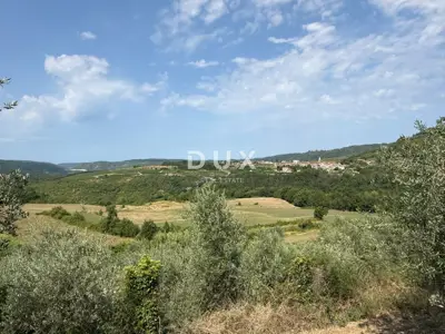 Building land, Grožnjan - panoramic views and olive trees - 2