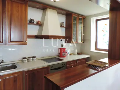 Haus 308 m², Buzet - Wohn- und Geschäftsimmobilie, Garage - 8