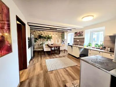 House 300 m², Režanci near Svetvinčenat - 4 bedrooms - 12