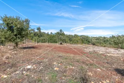 Poljoprivredno zemljište 600 m², Valtura, mirna lokacija - 3