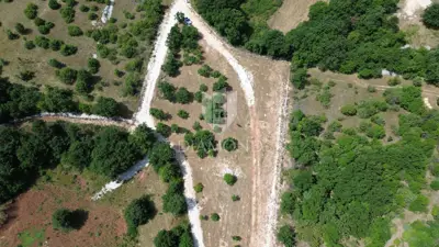 Spacious land with a project in central Istria - 2