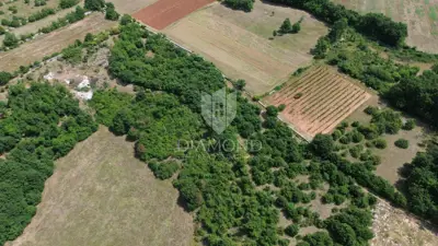 Spacious land with a project in central Istria - 5